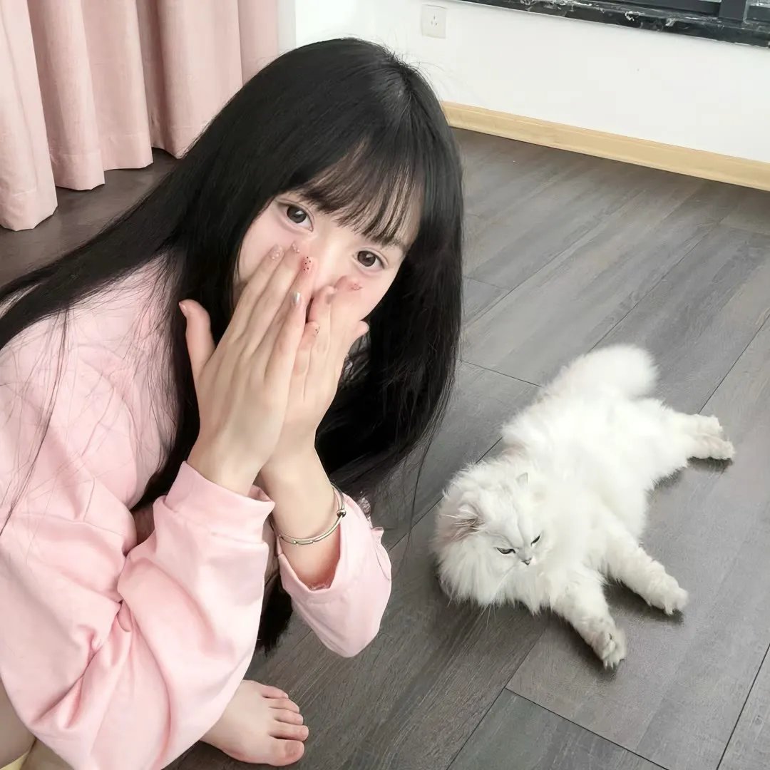 西辛2